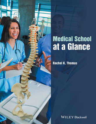 Rachel K. Thomas. Medical School at a Glance