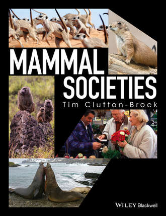 Tim Clutton-Brock. Mammal Societies