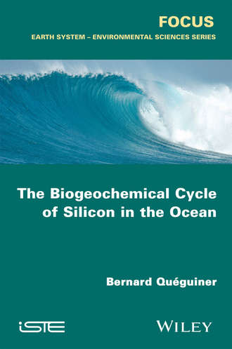 Bernard Qu?guiner. The Biogeochemical Cycle of Silicon in the Ocean