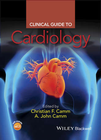 Группа авторов. Clinical Guide to Cardiology