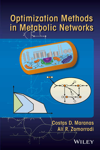 Costas D. Maranas. Optimization Methods in Metabolic Networks