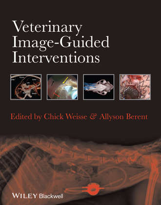 Группа авторов. Veterinary Image-Guided Interventions
