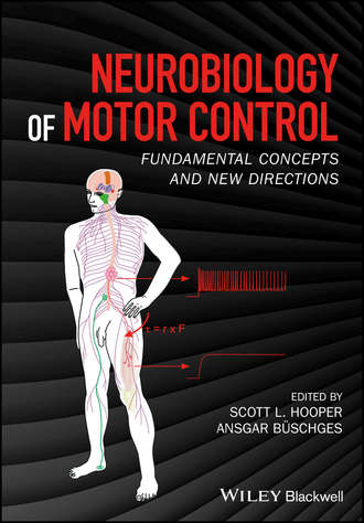 Группа авторов. Neurobiology of Motor Control