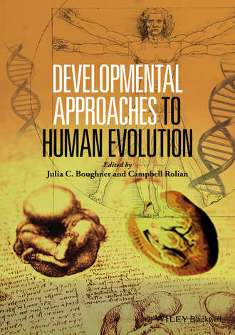 Группа авторов. Developmental Approaches to Human Evolution