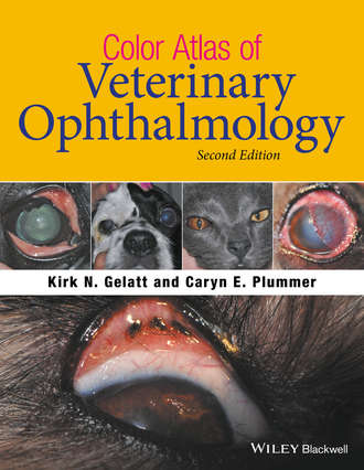 Kirk N. Gelatt. Color Atlas of Veterinary Ophthalmology