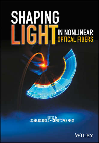 Группа авторов. Shaping Light in Nonlinear Optical Fibers