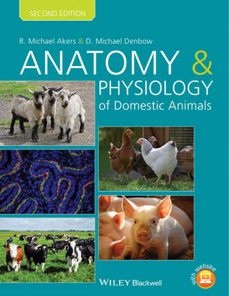 R. Michael Akers. Anatomy and Physiology of Domestic Animals