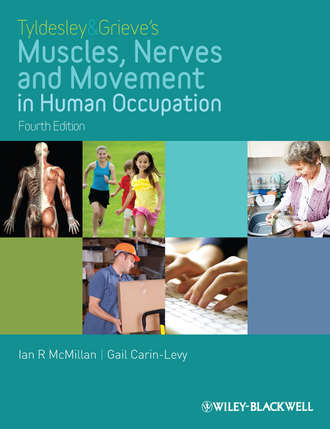 Ian McMillan. Tyldesley and Grieve's Muscles, Nerves and Movement in Human Occupation
