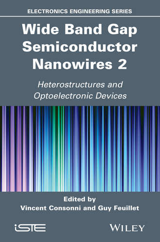 Группа авторов. Wide Band Gap Semiconductor Nanowires 2