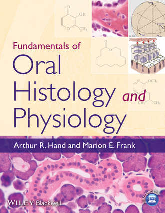 Arthur R. Hand. Fundamentals of Oral Histology and Physiology