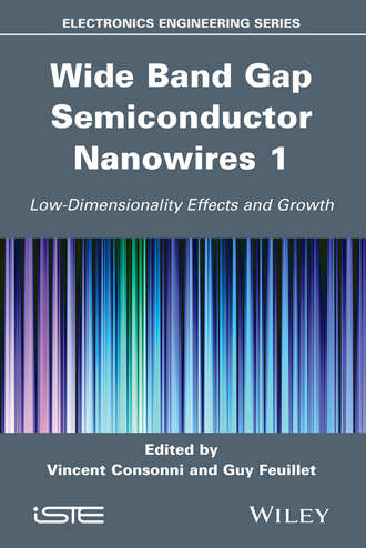 Группа авторов. Wide Band Gap Semiconductor Nanowires 1