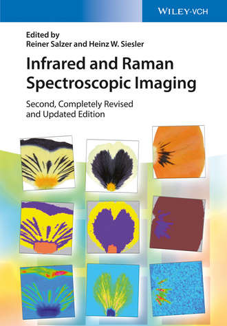 Группа авторов. Infrared and Raman Spectroscopic Imaging