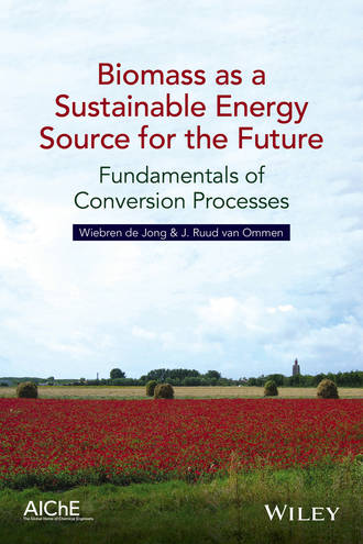 Wiebren de Jong. Biomass as a Sustainable Energy Source for the Future