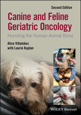 Alice Villalobos. Canine and Feline Geriatric Oncology