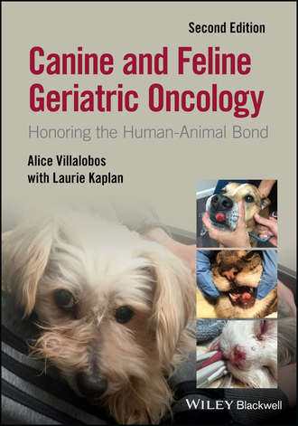 Canine and Feline Geriatric Oncology. Alice Villalobos