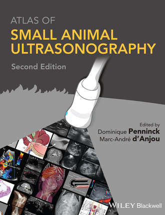 Группа авторов. Atlas of Small Animal Ultrasonography