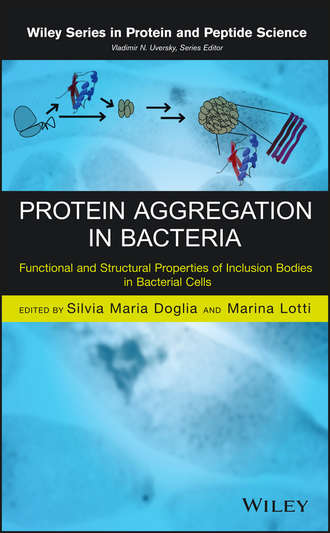 Группа авторов. Protein Aggregation in Bacteria