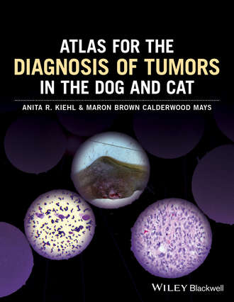 Anita R. Kiehl. Atlas for the Diagnosis of Tumors in the Dog and Cat
