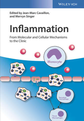 Группа авторов. Inflammation, 4 Volume Set
