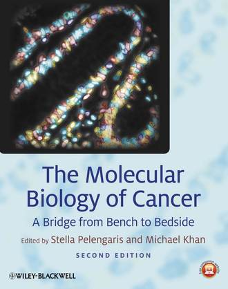 Группа авторов. The Molecular Biology of Cancer