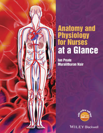 Ian  Peate. Anatomy and Physiology for Nurses at a Glance
