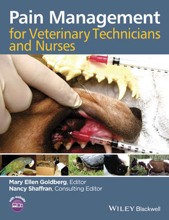 Группа авторов. Pain Management for Veterinary Technicians and Nurses