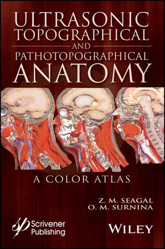 Z. M. Seagal. Ultrasonic Topographical and Pathotopographical Anatomy