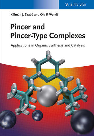 Группа авторов. Pincer and Pincer-Type Complexes
