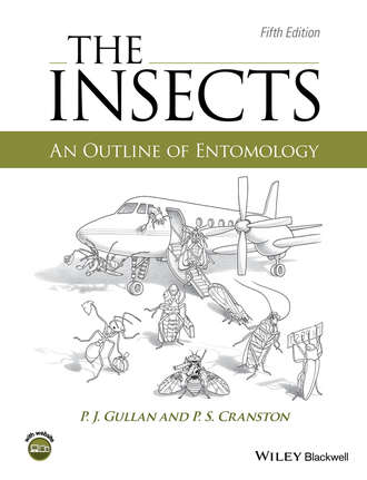 P. J. Gullan. The Insects