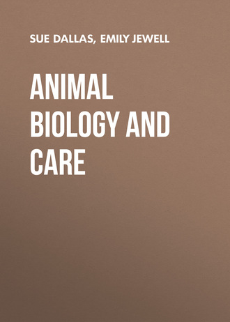 Sue  Dallas. Animal Biology and Care