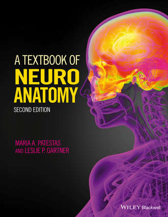 Maria A. Patestas. A Textbook of Neuroanatomy