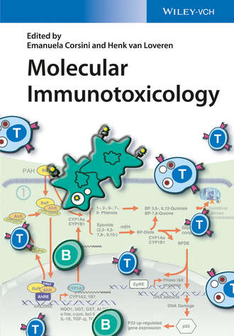 Группа авторов. Molecular Immunotoxicology