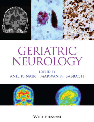 Группа авторов. Geriatric Neurology