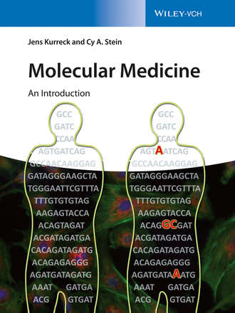 Jens Kurreck. Molecular Medicine