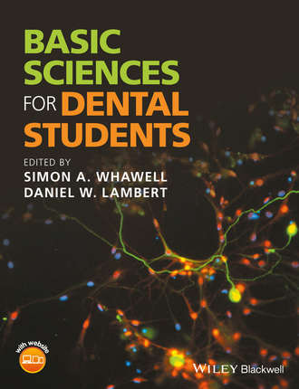 Группа авторов. Basic Sciences for Dental Students