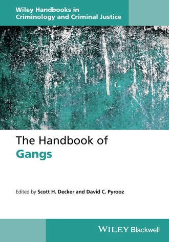 Группа авторов. The Handbook of Gangs