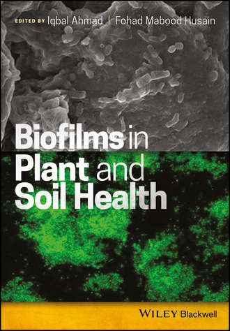 Группа авторов. Biofilms in Plant and Soil Health