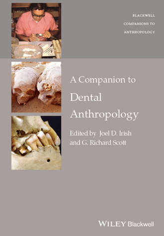 Joel D. Irish. A Companion to Dental Anthropology