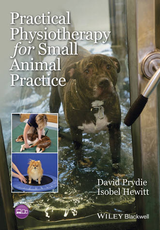 David Prydie. Practical Physiotherapy for Small Animal Practice