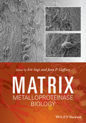 Группа авторов. Matrix Metalloproteinase Biology
