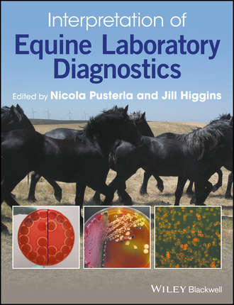 Interpretation of Equine Laboratory Diagnostics. Группа авторов