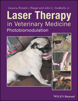 Группа авторов. Laser Therapy in Veterinary Medicine