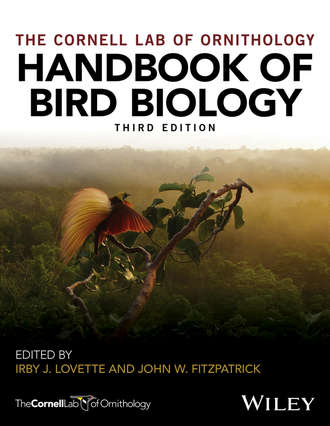 Группа авторов. Handbook of Bird Biology
