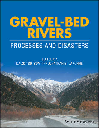 Группа авторов. Gravel-Bed Rivers