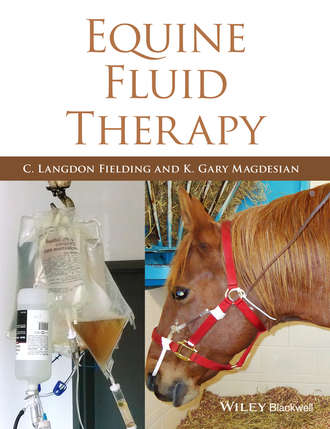 Группа авторов. Equine Fluid Therapy