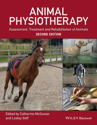Animal Physiotherapy. Группа авторов