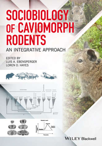 Группа авторов. Sociobiology of Caviomorph Rodents