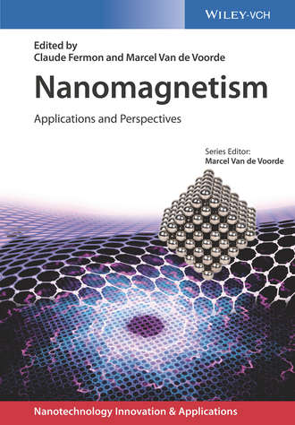 Группа авторов. Nanomagnetism