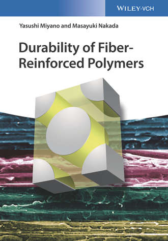 Yasushi Miyano. Durability of Fiber-Reinforced Polymers