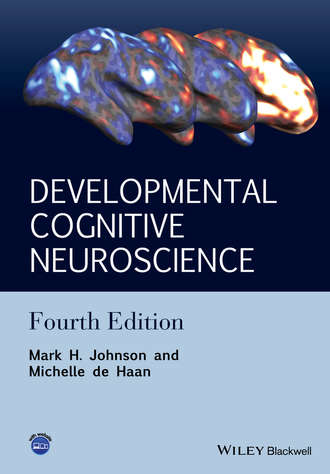 Mark H. Johnson. Developmental Cognitive Neuroscience